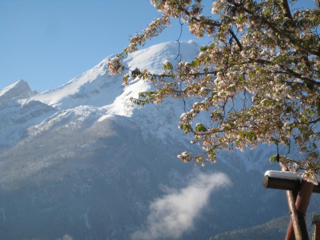 Hotel-Gasthof Nutzkaser Ramsau bei Berchtesgaden Екстер'єр фото