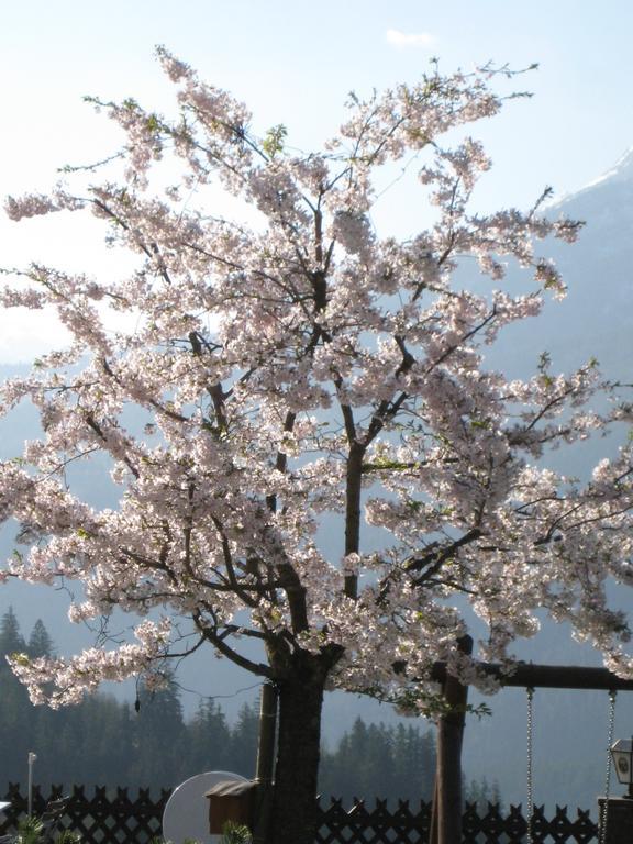 Hotel-Gasthof Nutzkaser Ramsau bei Berchtesgaden Екстер'єр фото